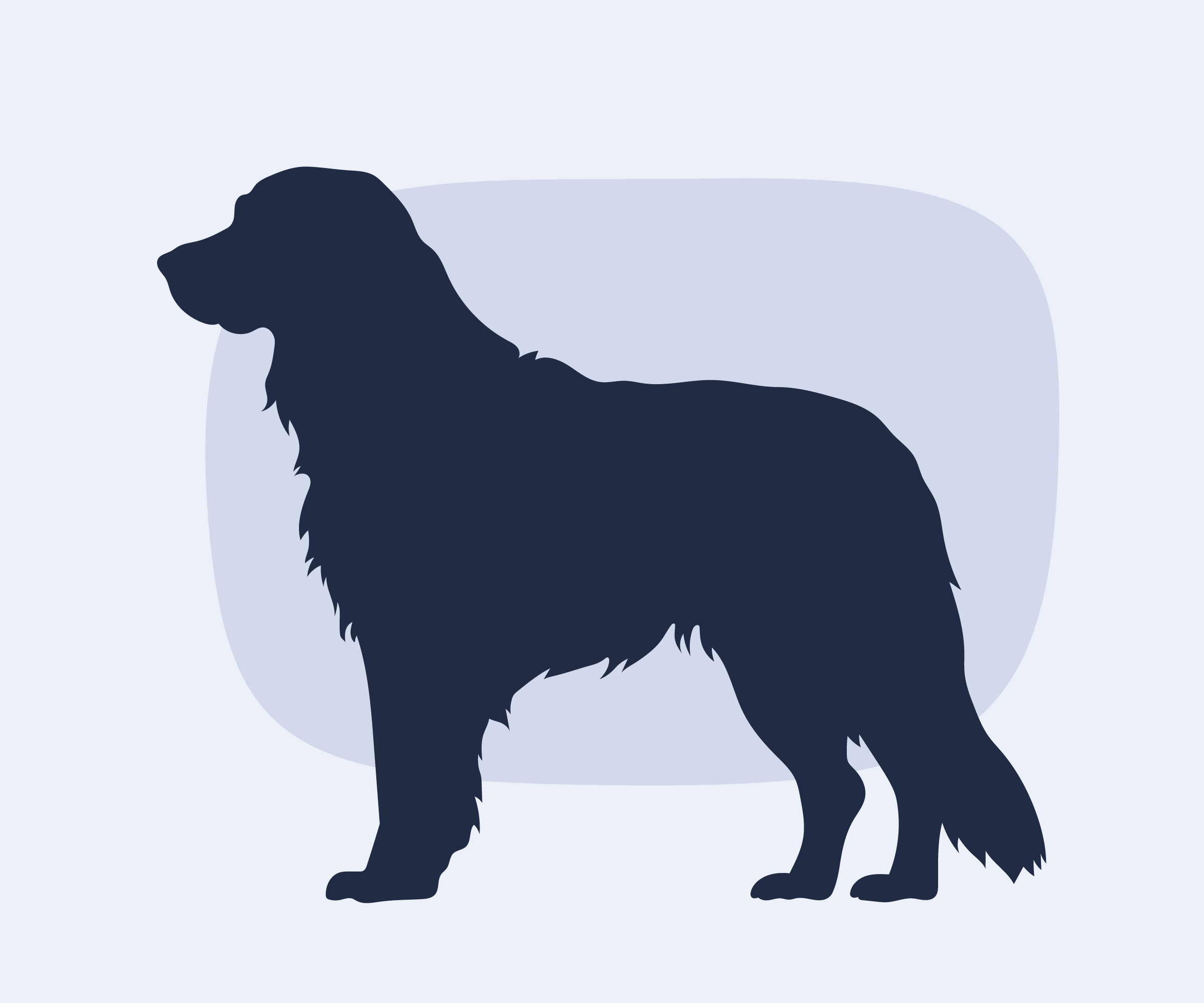 Dog logo